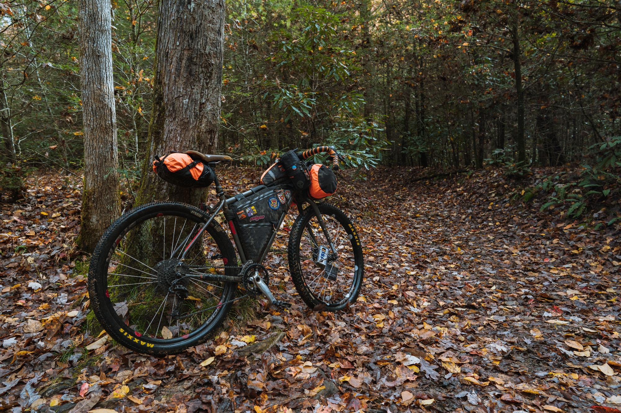 Gravel Cycling in Pisgah National Forest