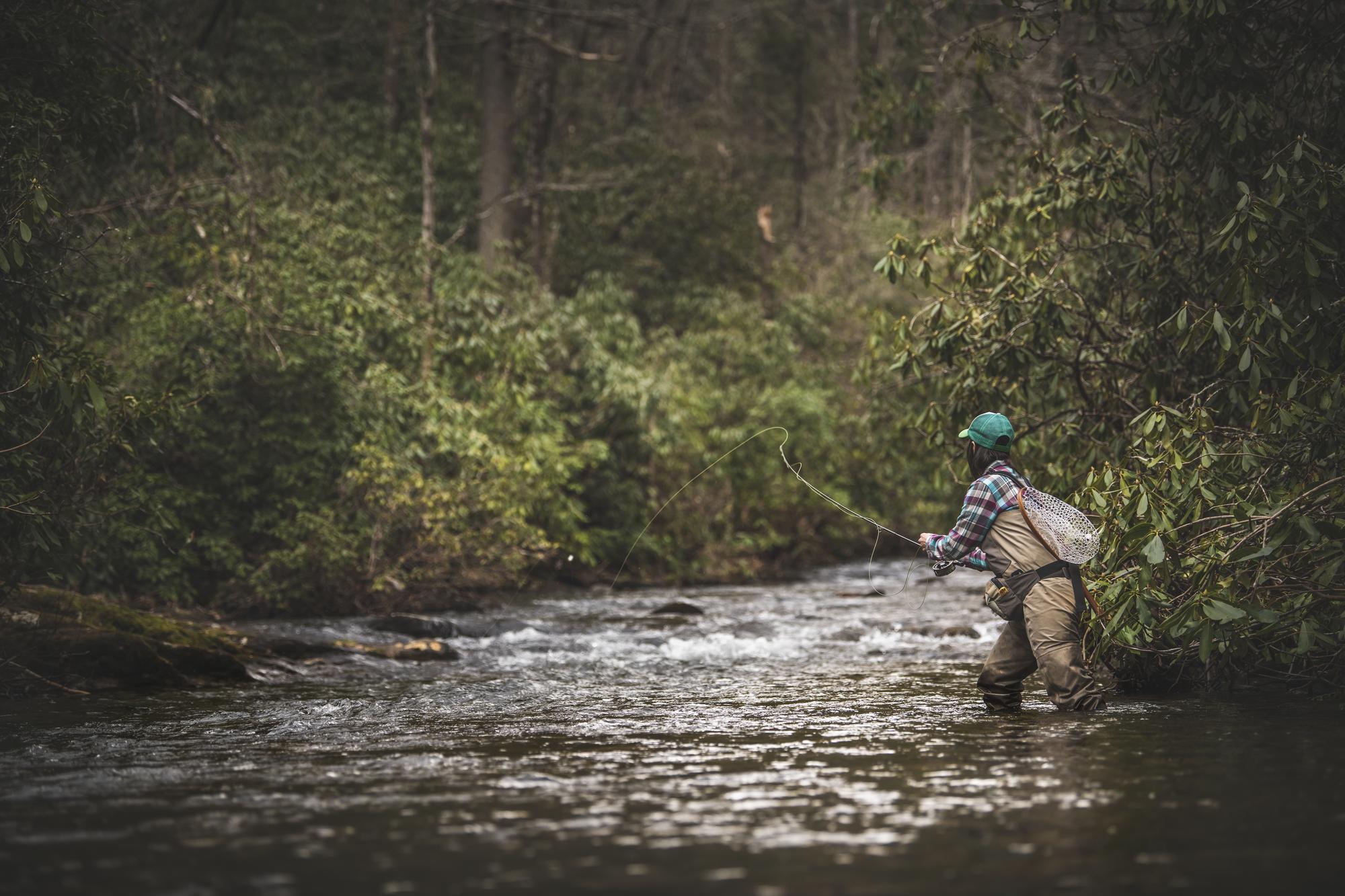 Fly fishing in the Pisgah National Forest